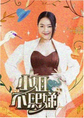 一起去露营 综艺在线观看
